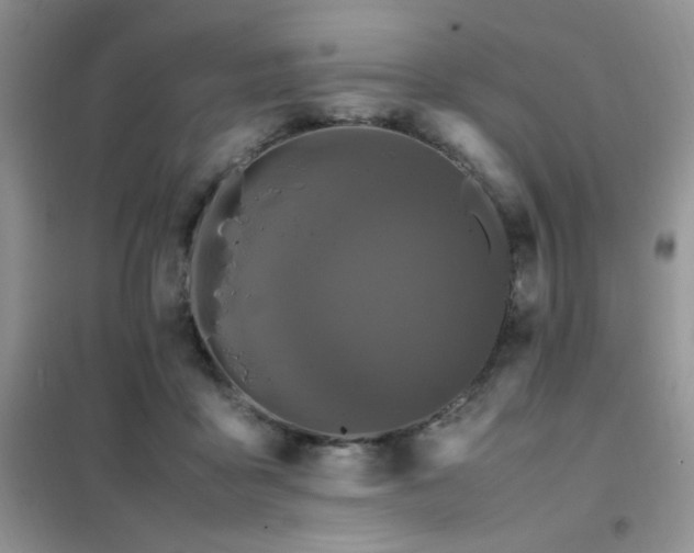 X0000102390411200808011605