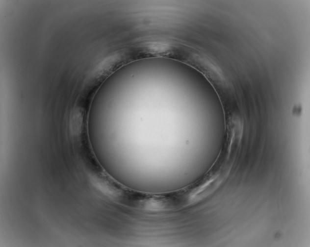 X0000102390412200808011605