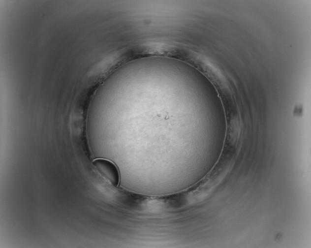 X0000102390413200808011605