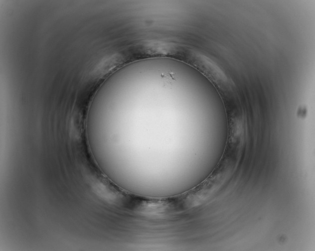 X0000102390414200808011605