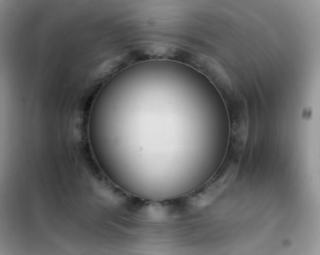 X0000102390416200808011605