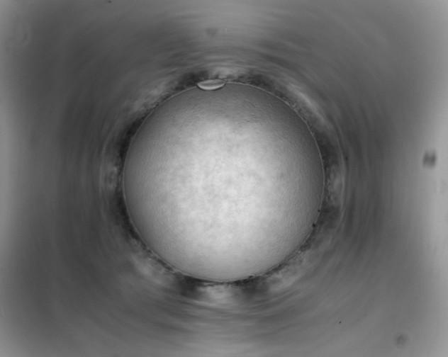 X0000102390417200808011605