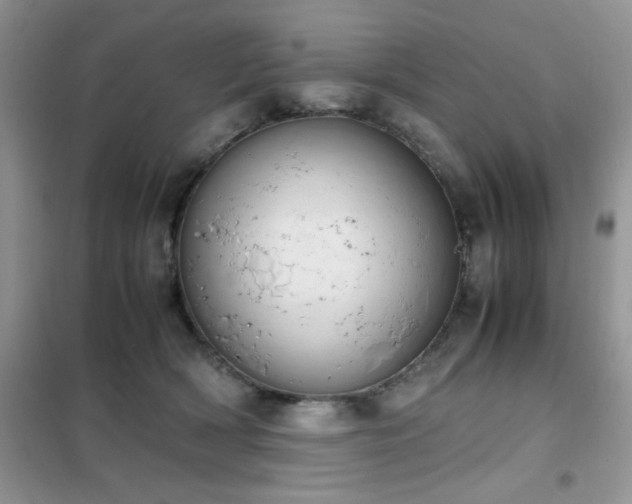 X0000102390418200808011605