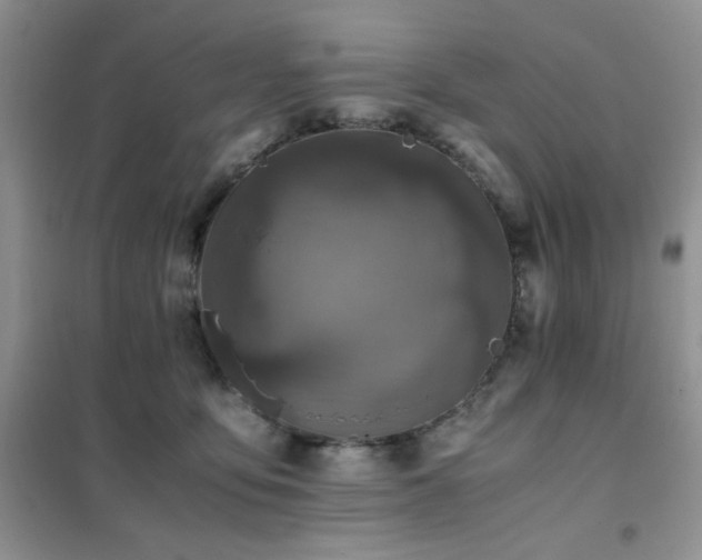 X0000102390419200808011605