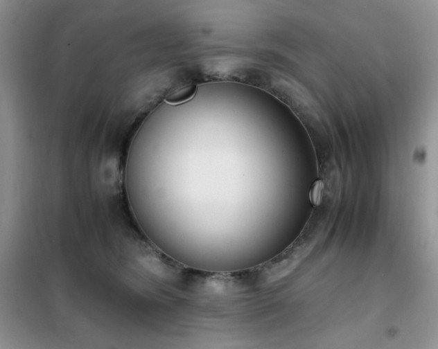 X0000102390420200808011605