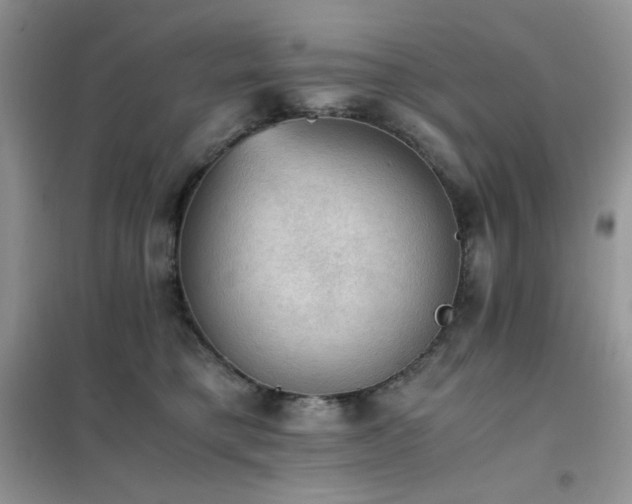 X0000102390421200808011605