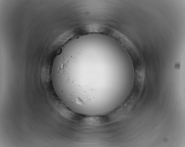 X0000102390422200808011605