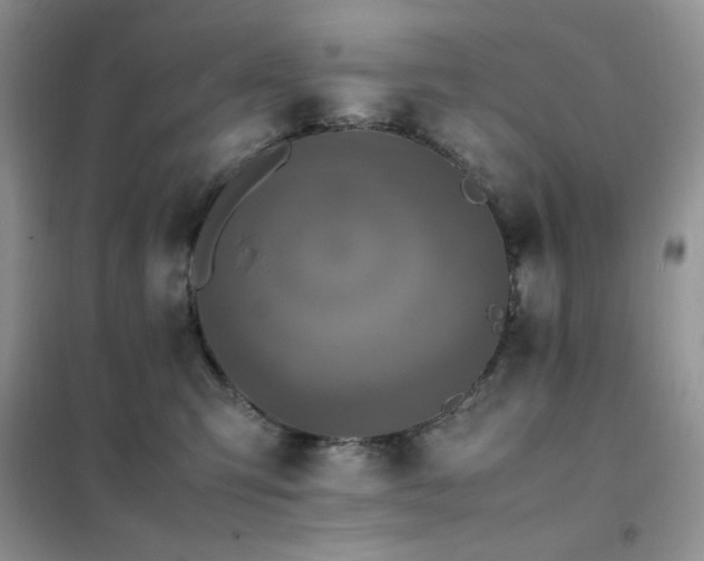 X0000102390423200808011604