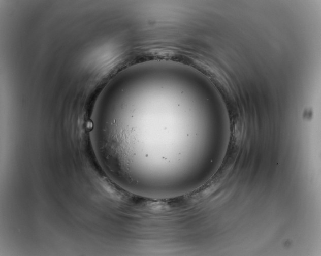 X0000102390424200808011604