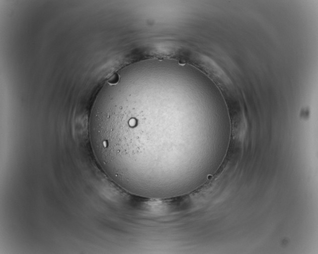 X0000102390425200808011604