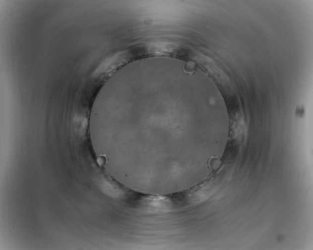 X0000102390427200808011604