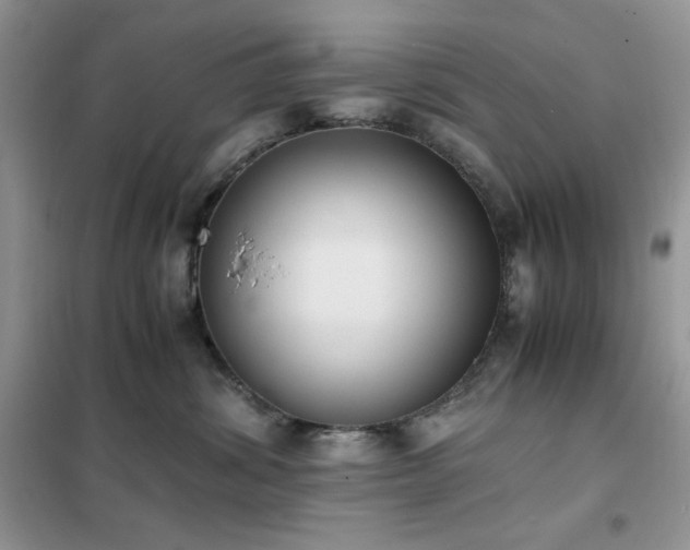 X0000102390428200808011604