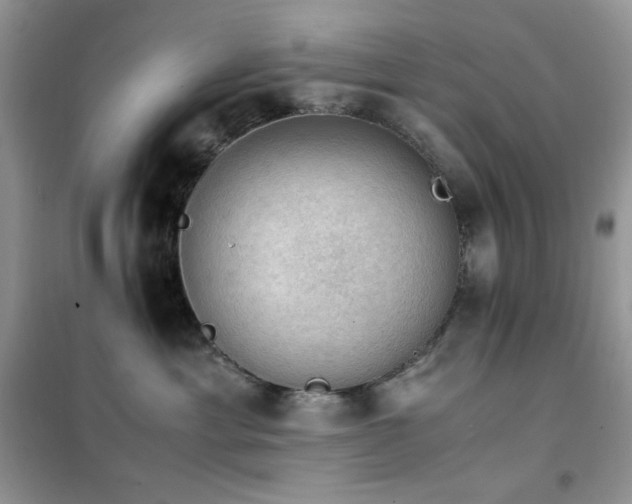 X0000102390429200808011604