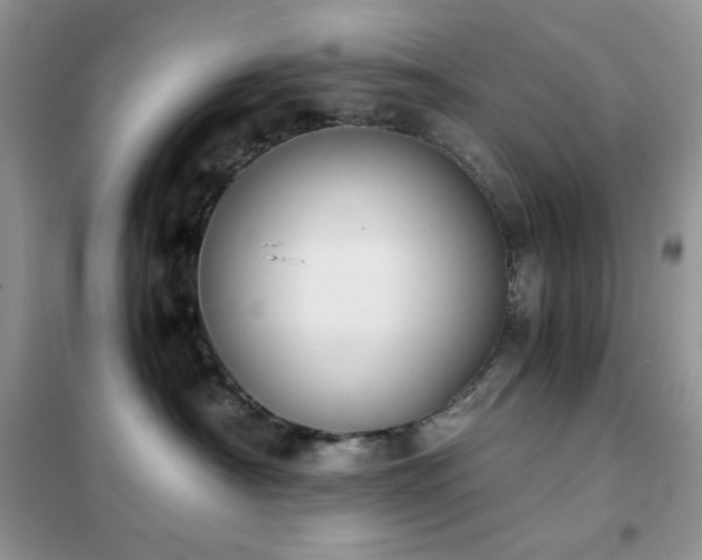 X0000102390430200808011604