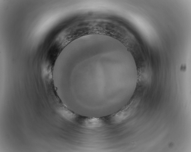 X0000102390431200808011604