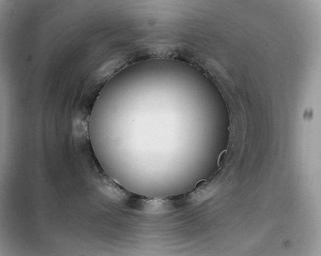 X0000102390432200808011604