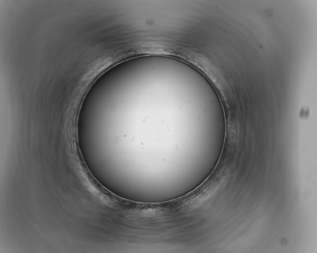 X0000102390433200808011604