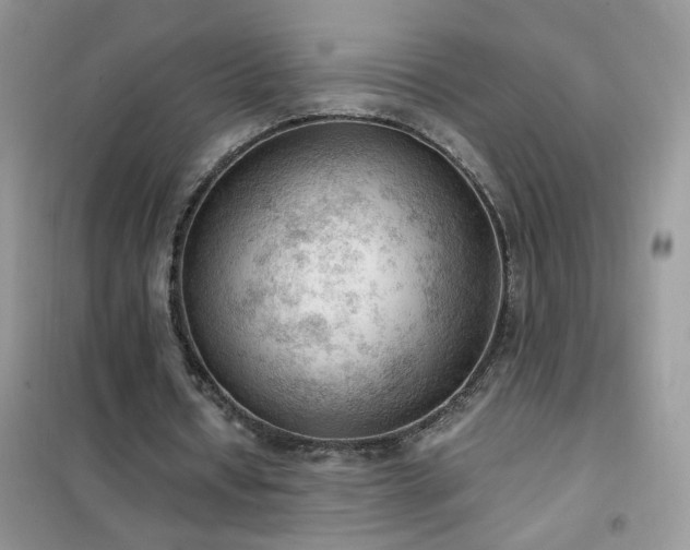 X0000102390434200808011604