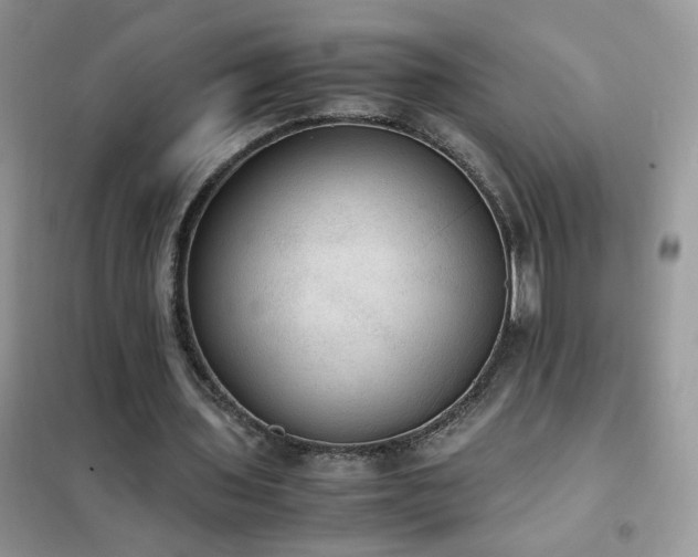 X0000102390435200808011604