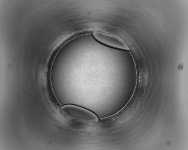 X0000102390436200808011604