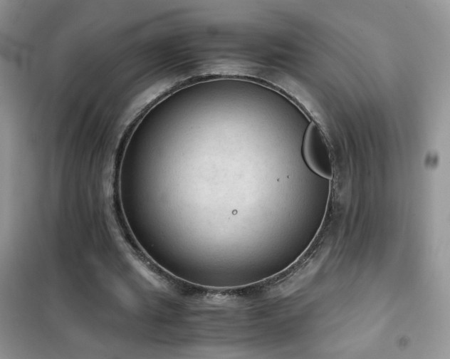 X0000102390437200808011604