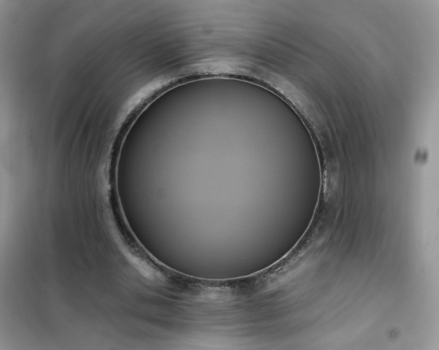 X0000102390438200808011604