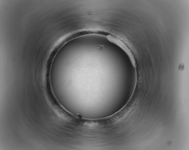 X0000102390440200808011604