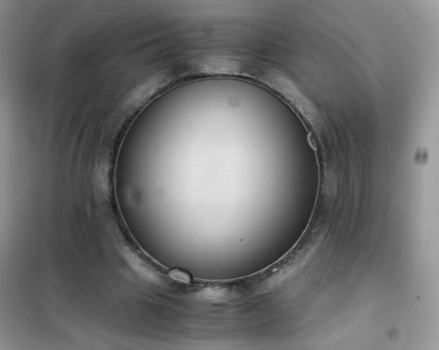 X0000102390441200808011604