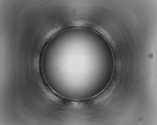 X0000102390442200808011604