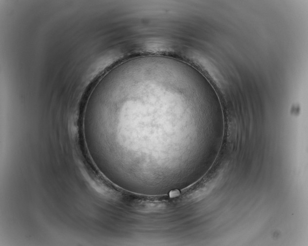 X0000102390443200808011604