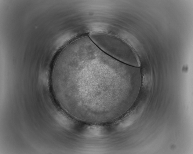 X0000102390444200808011604