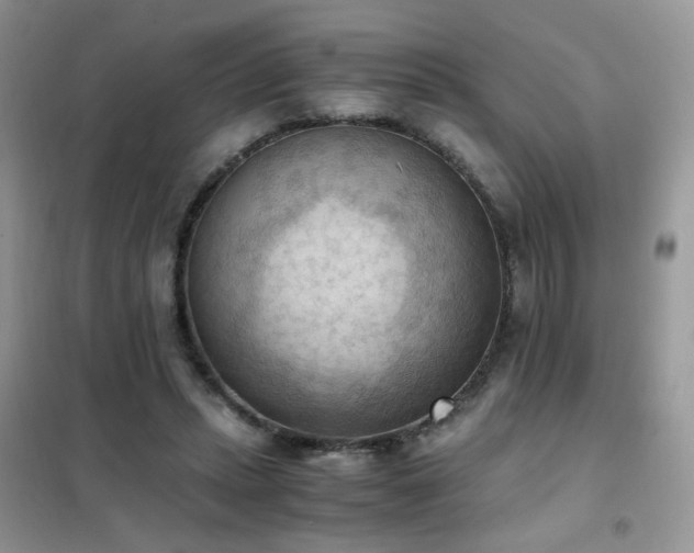 X0000102390447200808011604