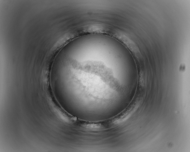 X0000102390449200808011604