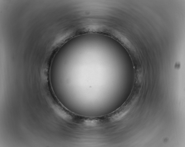 X0000102390450200808011604