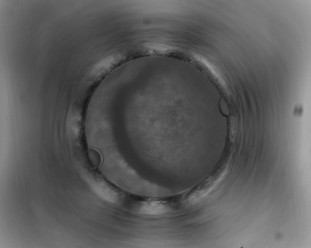 X0000102390451200808011604