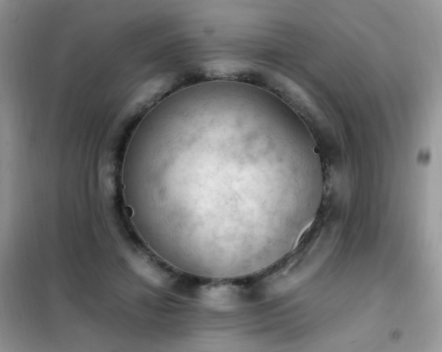 X0000102390452200808011604