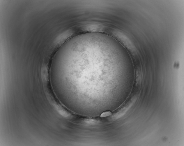 X0000102390453200808011604