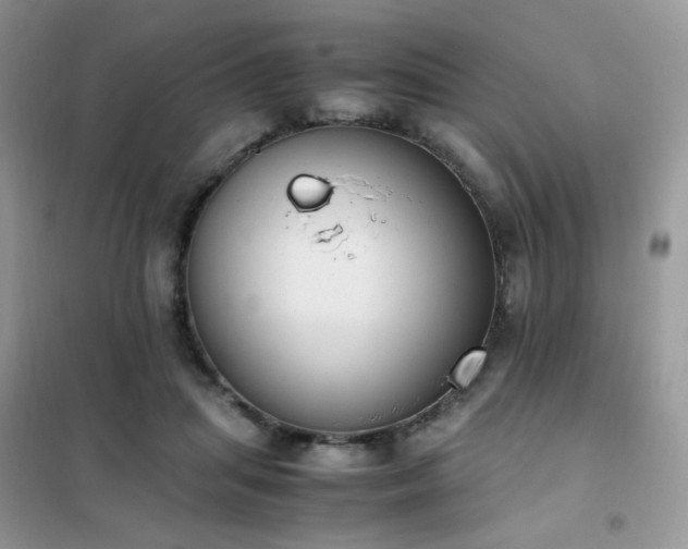 X0000102390455200808011604