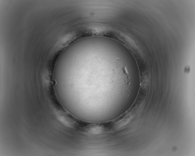 X0000102390456200808011604