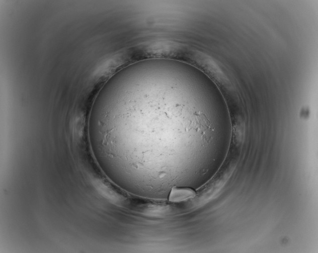 X0000102390458200808011604