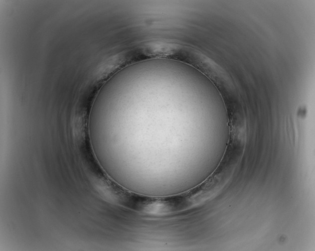 X0000102390460200808011604