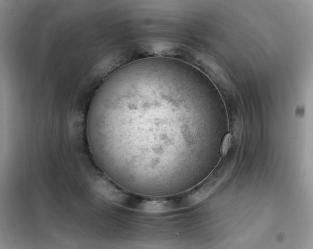 X0000102390461200808011604