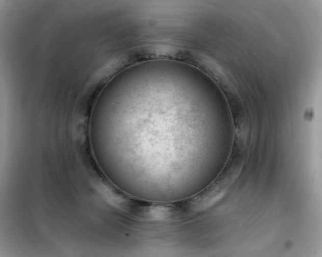 X0000102390462200808011604