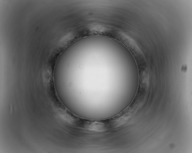 X0000102390463200808011604