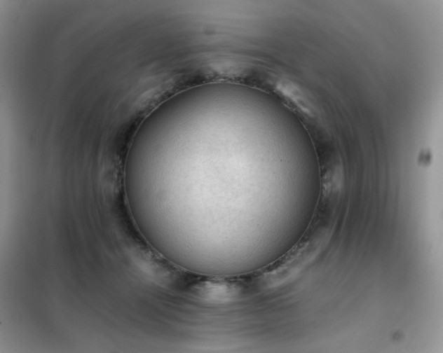 X0000102390464200808011604