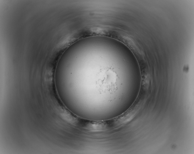 X0000102390466200808011604