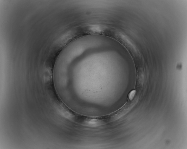 X0000102390467200808011604