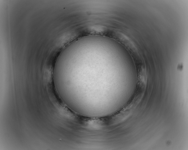 X0000102390468200808011604