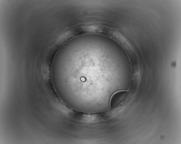 X0000102390469200808011604