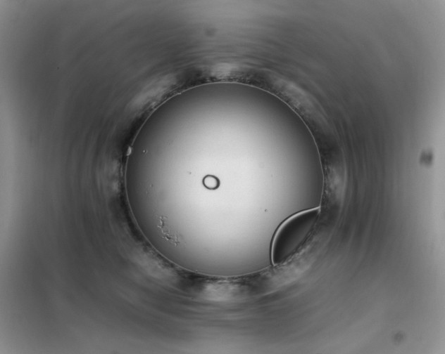 X0000102390470200808011604